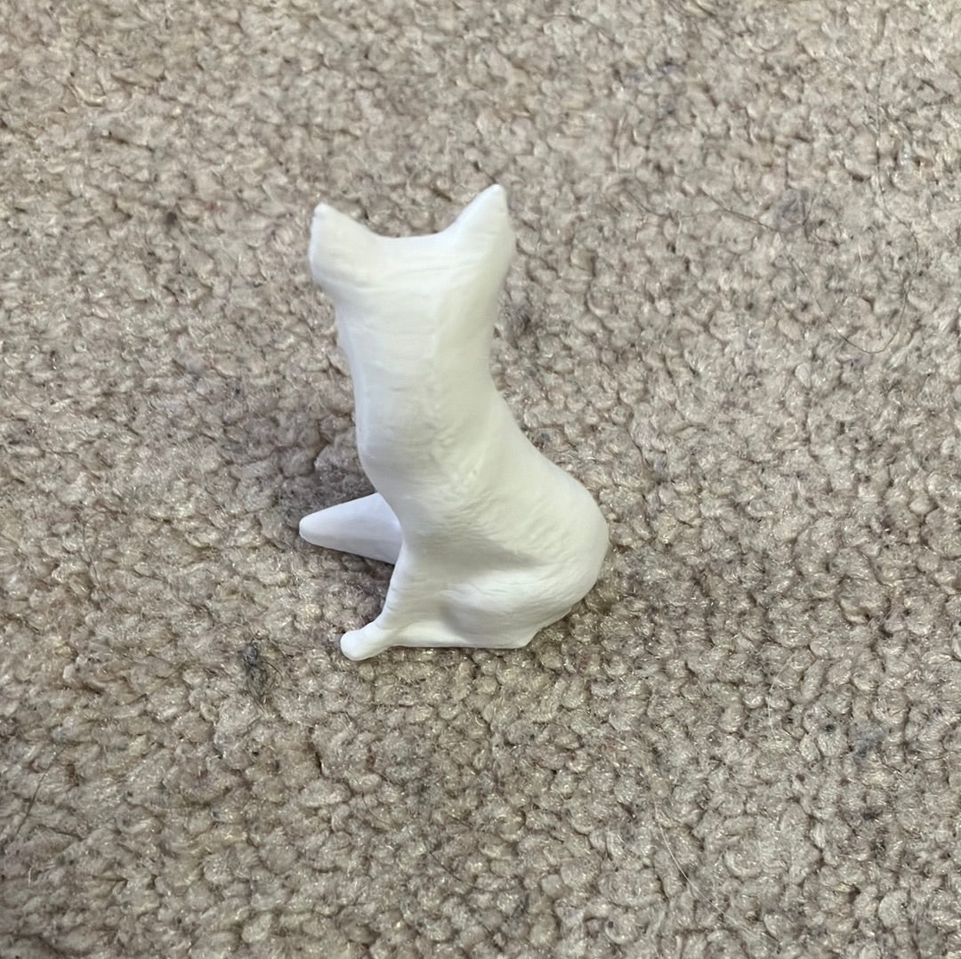 Fox