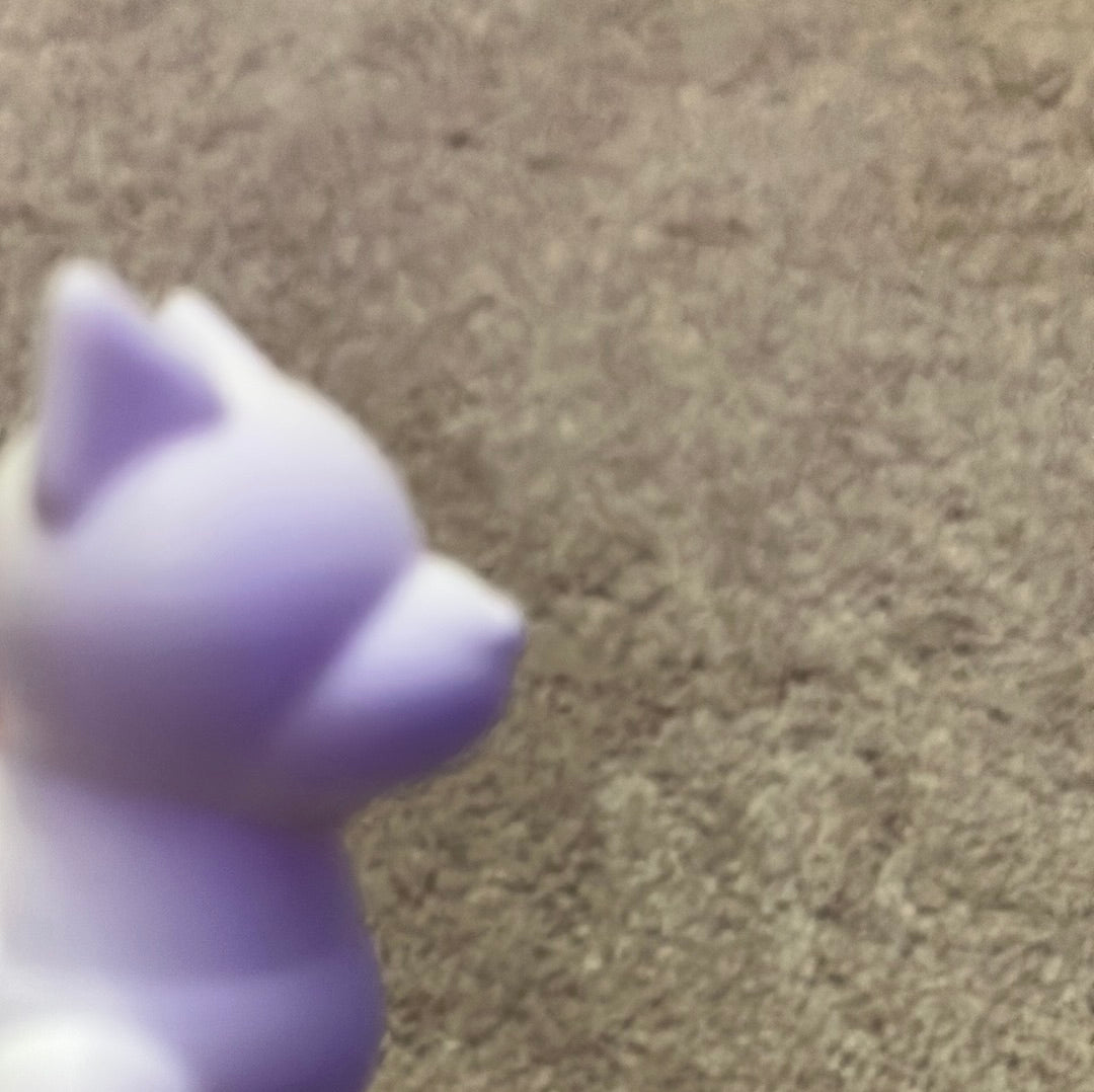 30 printed dog 