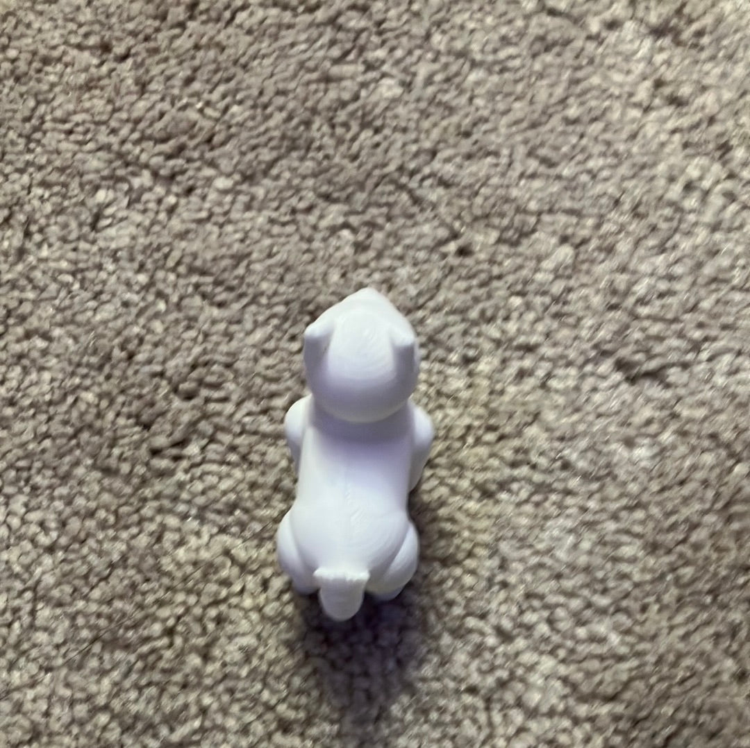 30 printed dog 