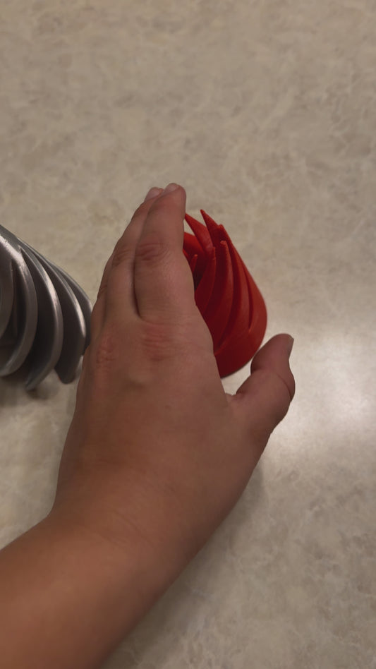 Spiral Fidget Toy ( 2 items )